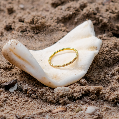 Zarra Paved Gull Ring